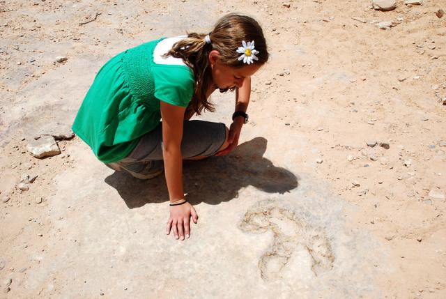 Child inspecting a dinosaur track
