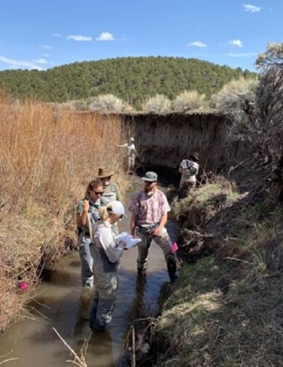 Lotic AIM data collection crew standing in a stream during Utah training. 