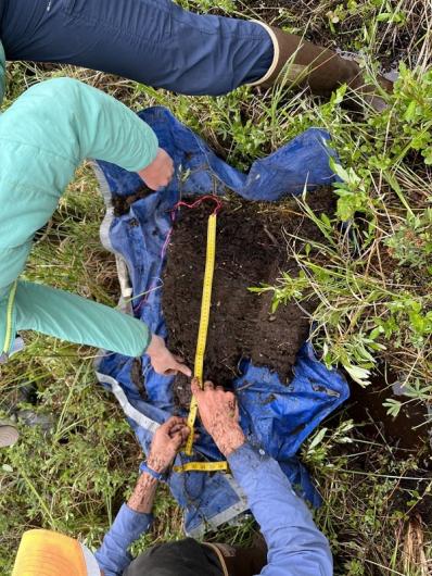 Two people holding measuring tape across a soil plot in Alaska. 
