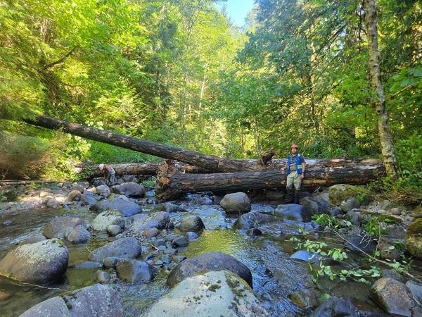 A helicopter placed a large wood habitat structure on Boulder Creek in July 2022. Peter Kauss, hydrologist and BLM project lead, is leaning against a log in the stream and admiring the partners’ quality work.