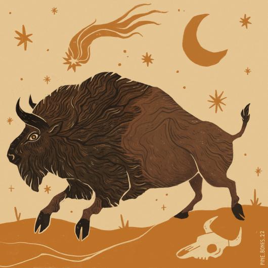 A design of a bison with stars and a desert landscape created by Walck.