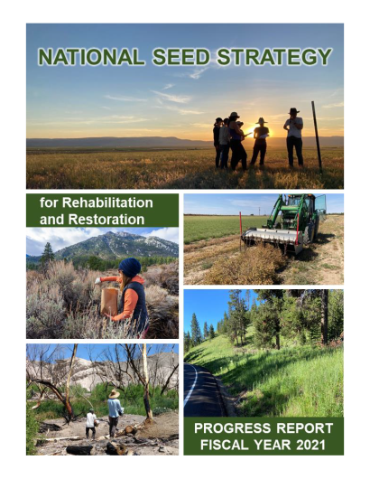 The cover of the FY21 National Seed Strategy Progress Report. The text says: National Seed Strategy for Rehabilitation and Restoration, Progress Report Fiscal Year 2021; the images behind the text show people doing restoration, seed collection, and driving a tractor.