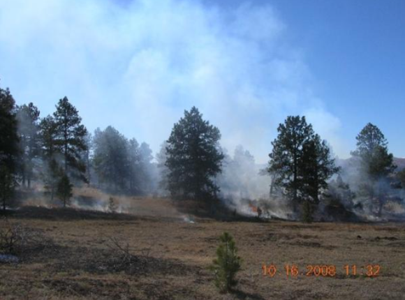 A photo of smoke in the air and small vegetation on fire. 