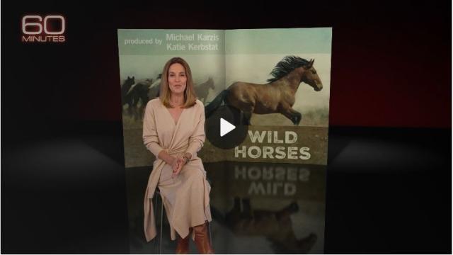 A screenshot of the set for 60 minutes with Leslie Stahl and a graphic of a wild horse