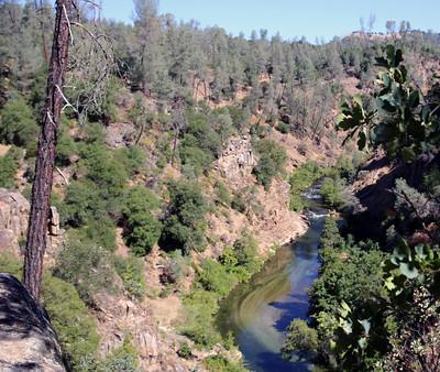 A creek flowing through a canyon with trees. 