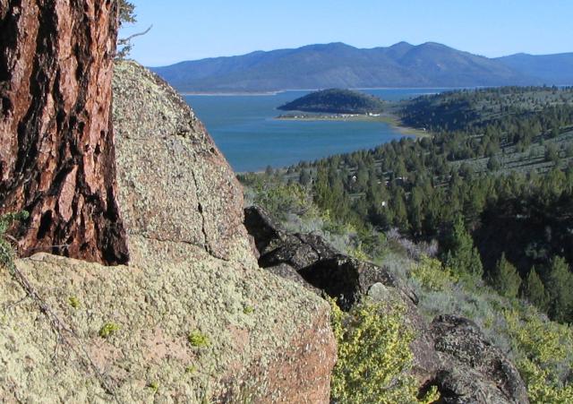 A tree on a rocky ledge with mountains in the background. 