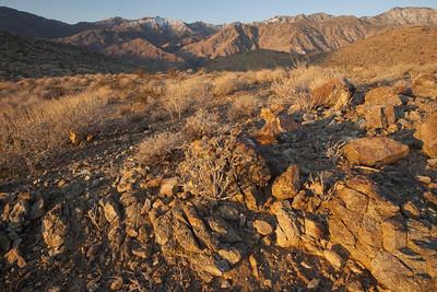 Grass and rocks with mountains. 