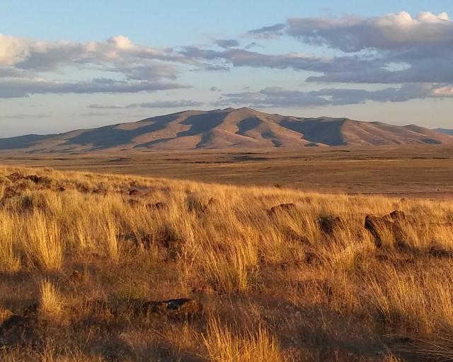 Mountain with grass in the foreground.