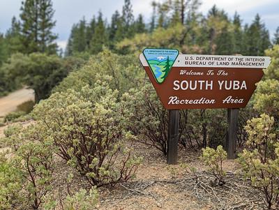 Brown sign surrounded by brush. 