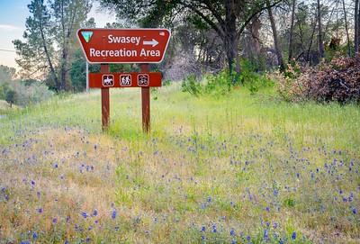 A sign with grass and trees around it. 