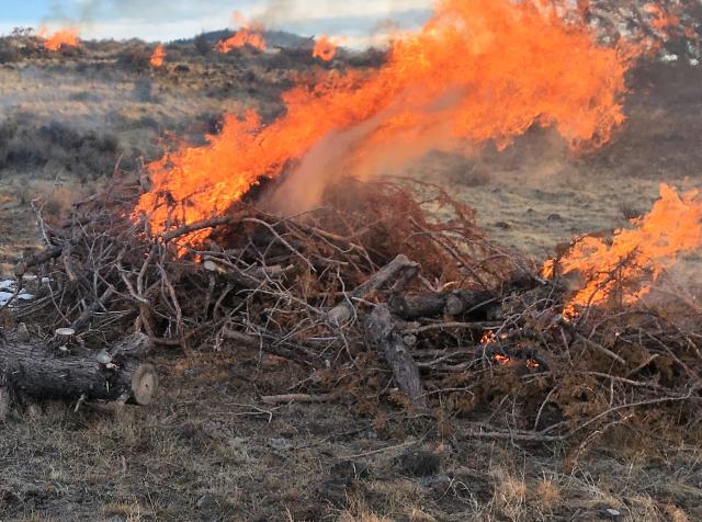 Logs and debris burning. 