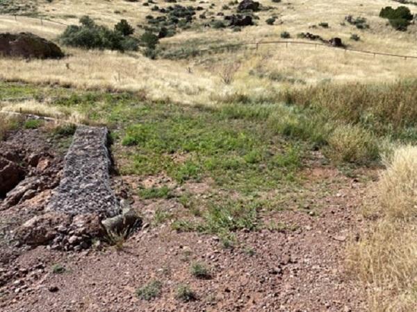 A Rock gabion on the left in a brownish green field. 