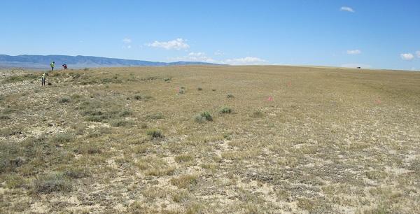 Three interns can be seen in the far distance on a grassy plain with mountains in the background. 