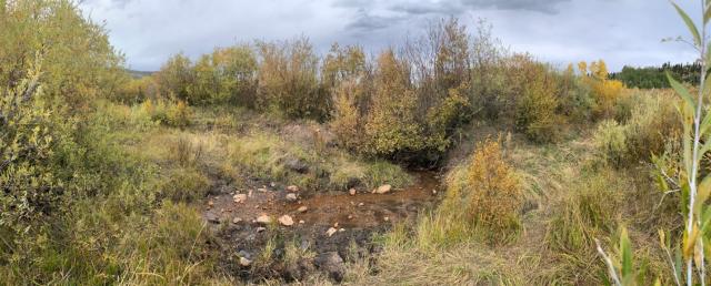 A grassy area with bushes, trees, and vegetation. An area that would normally fill with fresh water has been dried out.