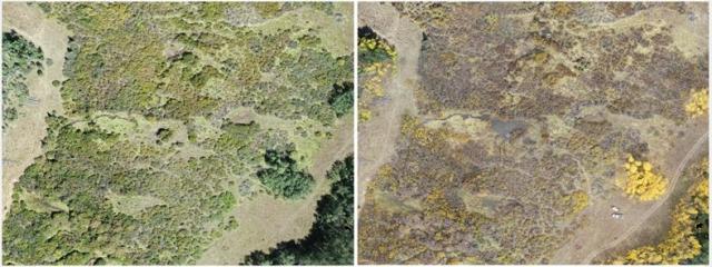 Two images compare the differences from before the restoration to after the restoration. The photo on the left is sparse, with very few areas of water, while the photo on the right has several pools and streams. 