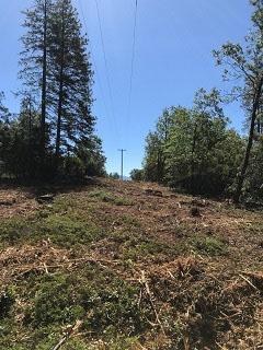Tree limbs and other vegetation removed from a powerline right-of-way