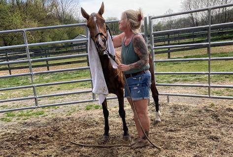 Horse and woman in a pen. 