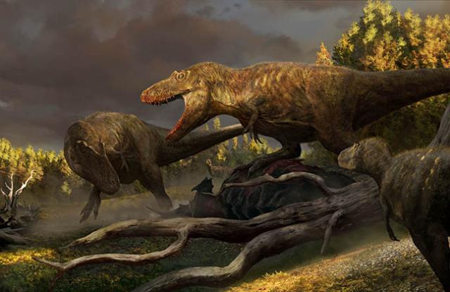 Painted image of 2 large T-Rex dinosaurs fighting over the body of another dinosaur with 2 smaller dinosaurs watching from the side and back. 