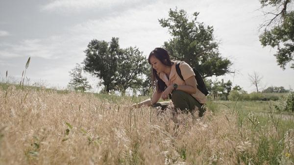 A woman kneels down in a field of cheatgrass.