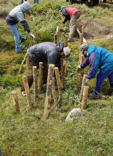 Four volunteers are installing wood posts in the green grass. 