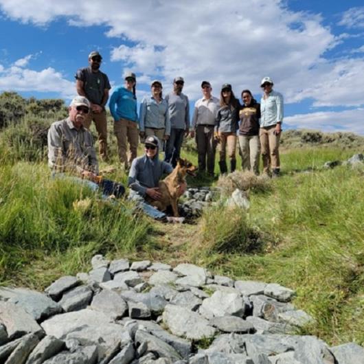 A group of 10 people and a dog are next to a grade control structure- gray rocks sitting in the green grass. 