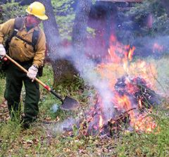 A firefighter is tending to an burning pile of brush.
