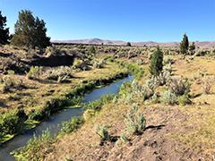 A creek in Norther California.