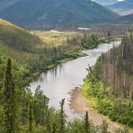 A small river flows around a bend toward rounded hills in the distance.  The river is lined by pristine shorelines with birch and spruce forests.