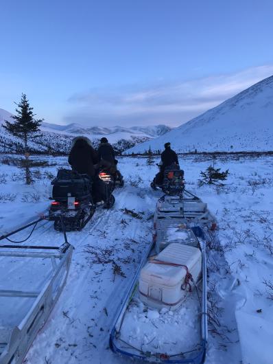 Three riders on snowmobiles pause near a small spruce with an orange diamond trail marker. The riders look ahead, up valley, toward a rounded ridgeline with sparse vegetation. Two of the snowmobiles are pulling sleds to carry gear and groom the trail. The headlights and tail lights glow in the low light of dusk.