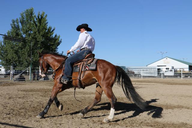 A person riding a horse in arena