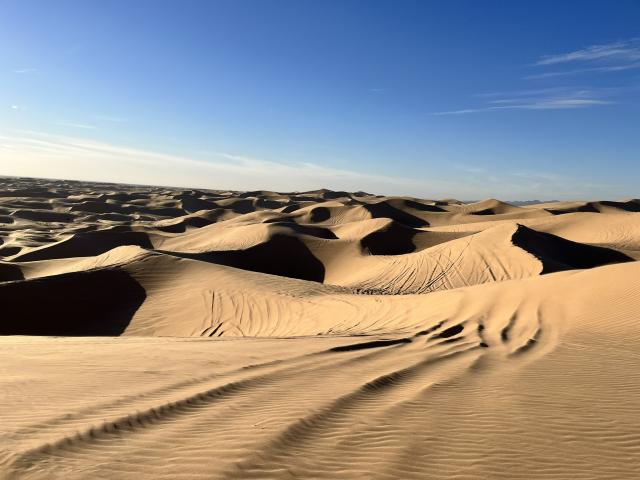 Sand Dunes with tire tracks.