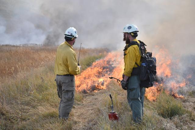 two firefighters tending a prescribed fire