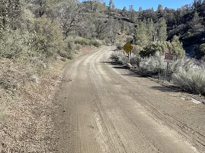 a clear dirt road amidst brush