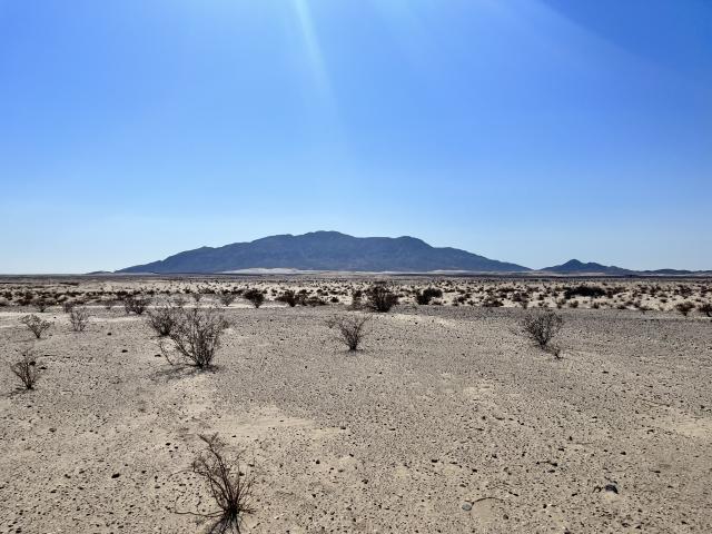 Desert with brush and mountains in the background