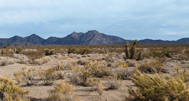 View of Avi Kwa Ame National Monument and Spirit Mountain.