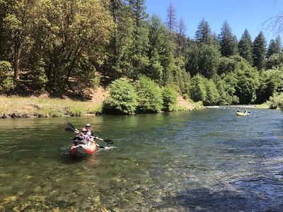 Kayakers in a forest river.