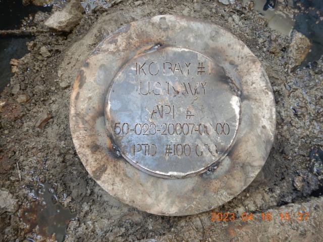 An aluminum cap with lettering signifying a capped well.