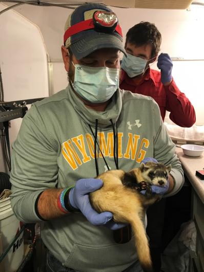 A man wearing a mask and looking down at a small animal in his hands. 