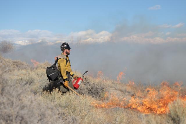 Firefighters with the Bureau of Land Management carefully monitor and contain fire treatments to designated areas. (Photo courtesy of the BLM)