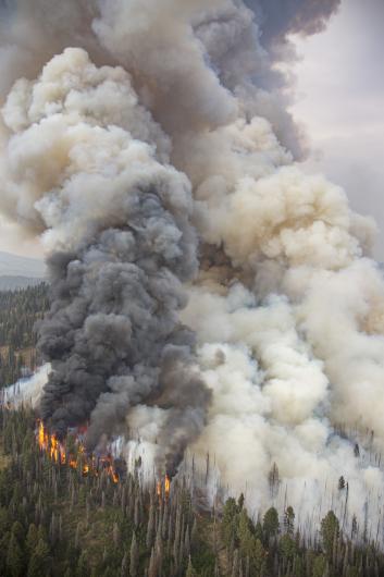 The 2016 Pioneer Fire in the Boise National Forest illustrates the ability of wildfire to spread in mountainous and windy conditions. (Public domain)