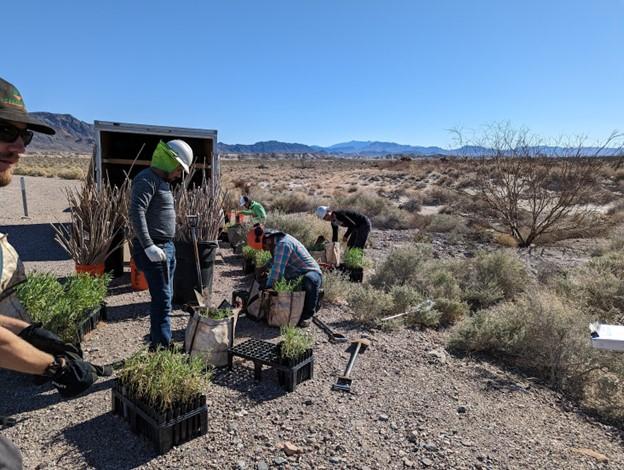 Partners assembling trays of trees to be planted, restoring the native habitat.