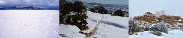 Utah winter landscape collage.