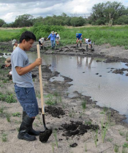 A youth holding a shovel and wearing rubber boots stands next to stream. Other people on opposite side of stream are also working with shovels.