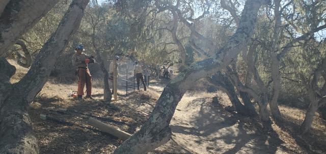 California Conservation Corps installing the fences braces