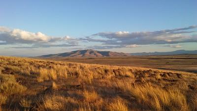 Mountain in the high desert with dried grass in the fore ground.