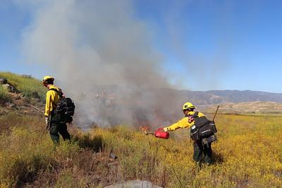 Fire crews on a prescribed fire