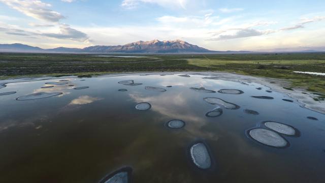 Wetlands and mountain peaks in the San Luis Valley, Colorado