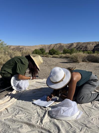 Two people sit on the desert floor collecting data .