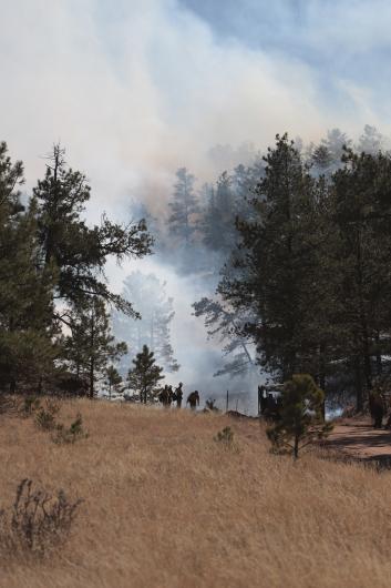 Firefighters carefully set the fire line while continuously monitoring and controlling its movement. (Photo courtesy of the BLM)