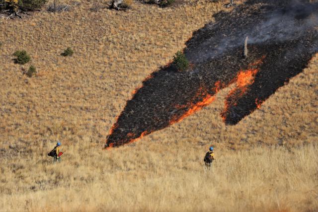BLM firefighters preemptively remove fast-burning grasses from the planned burn area, just one of many techniques used to help direct the movement of the fire line. (Photo courtesy of the BLM)